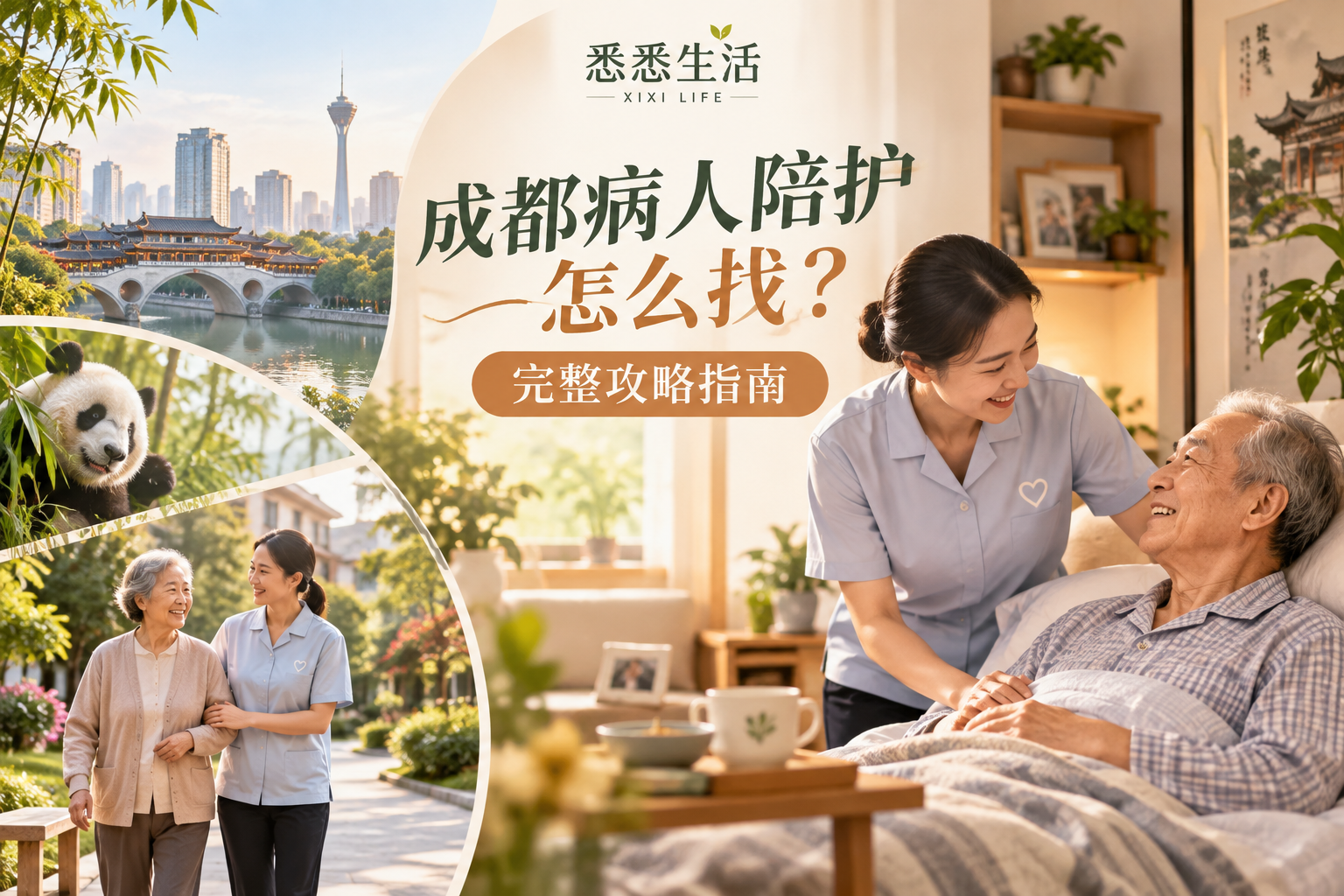 成都病人陪护怎么找？完整攻略指南