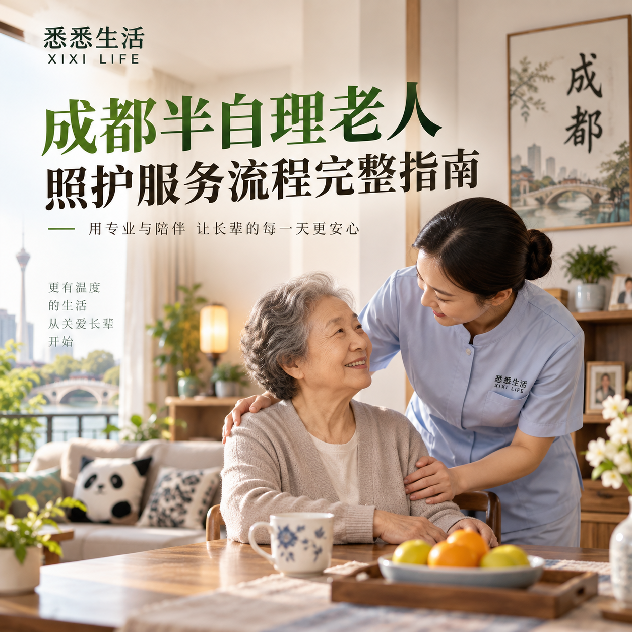 成都半自理老人照护服务流程完整指南